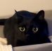 Caleb Huang - Facebook