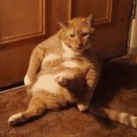 Caleb_Huang - @caleb_huang6 - Instagram