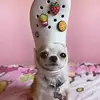Caleb Huang - @caleb.huang - TikTok