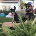 Caleb Huffman - Facebook