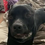 caleb humphrey - @caleb_humphrey1 - Instagram