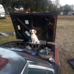 Caleb Hutson - @hutson_tuning - Instagram