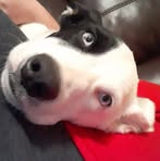 Skylar Ince - Facebook