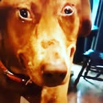 caleb ingram - @calebingram26 - Instagram