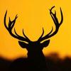 Caleb jimenez - @caleb.jimenez.08 - TikTok