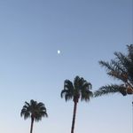 Caleb kerr - @_caleb_kerr - Instagram