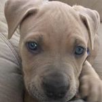 Jordan Kiefer - @jordancalebkiefer - Instagram