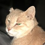 Caleb Kirby - @dark_nebula__nebuchadnezzar - Instagram