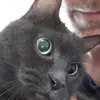calebknapp951 - @calebknapp951 - TikTok