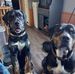 Kaleb Knapp - Facebook