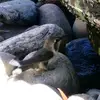 Caleb Kruse - @heythurdawlynn - TikTok
