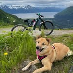 Caleb Lambert - @caleb_lambert_ - Instagram