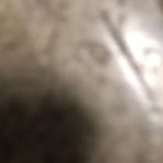 Caleb Lambert - Facebook