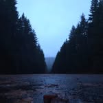Caleb Lambert - @buddy_boy_lambert - Instagram