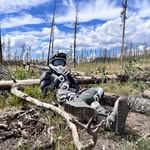 Caleb Lambert - @gh0styard_ - Instagram