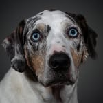 Caleb Lambert | Photographer & Filmmaker - @lllambertt - Instagram