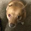 Caleb Land - @caleb_land75 - TikTok