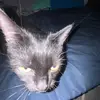 Caleb larsen - @caleb.larsen01 - TikTok