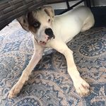 Caleb Ledford - @caleb.ledford.71 - Instagram