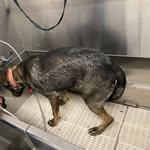 Caleb Ledford - @caleb_ledford21 - Instagram