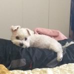 Caleb Lin - Facebook