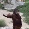 caleb linn - @caleb.linn - TikTok