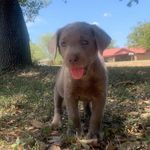 Caleb lindsey - @caleb_lindsey013 - Instagram
