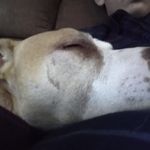 Caleb Lindsey - @caleb.lindsey.520 - Instagram
