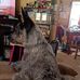 Caleb Lindsey - Facebook