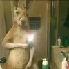 Caleb Lopez - @caleb.lopez59 - TikTok