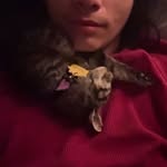 Caleb Lopez - @zzzz.caleb - Instagram