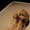 Caleb Lyons - @caleb.lyons2 - TikTok