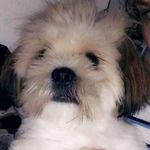 Caleb Lyons 💙 - @cubby.lyons17 - Instagram