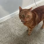 Caleb MacDonald - @calebmacdonald5 - Instagram