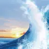 caleb_macdonald - @caleb_macdonald - TikTok