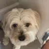 caleb_macy - @caleb_macy - TikTok