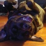 Caleb Malone - @caleb.malone.79 - Instagram