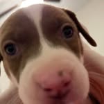 Caleb Marin - @calebmarin59 - Instagram