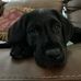 Caleb Markey - Facebook