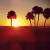 calebmarkley763 - @calebmarkley763 - TikTok
