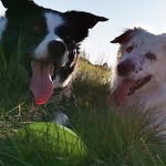 Caleb & Marley - @calebandmarley - Instagram