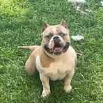 Caleb Marquez - Facebook