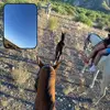 Caleb Martin - @caleb5667_ - TikTok