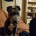 Caleb Mashburn - Facebook