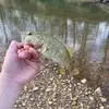 Caleb_Mashburn - @calebmashburn - TikTok
