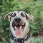 Caleb Massey - @the_meme_man25 - Instagram