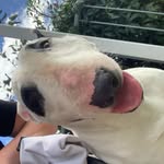 Caleb Massey - @caleb_massey999 - Instagram