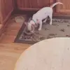 Caleb Massey - @user464490578 - TikTok