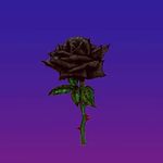 caleb massey - @_sirrcaleb_ - Instagram