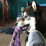 Caleb Mast - @mastcaleb - Instagram